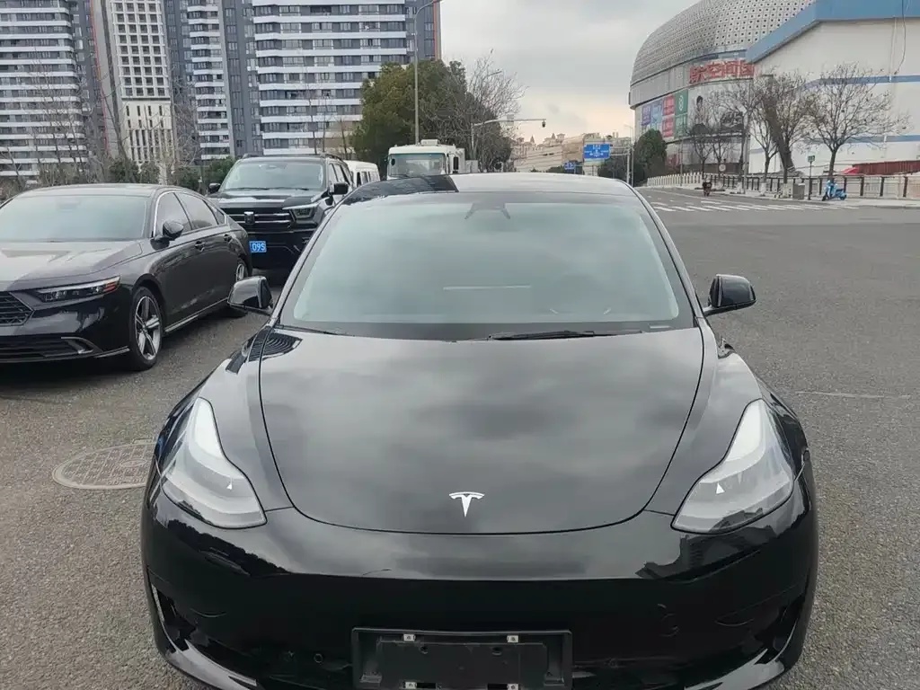 Tesla Model 3 2021 из CN, фото 7