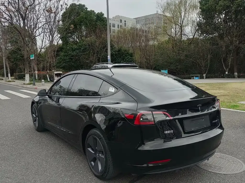Tesla Model 3 2021 из CN, фото 9