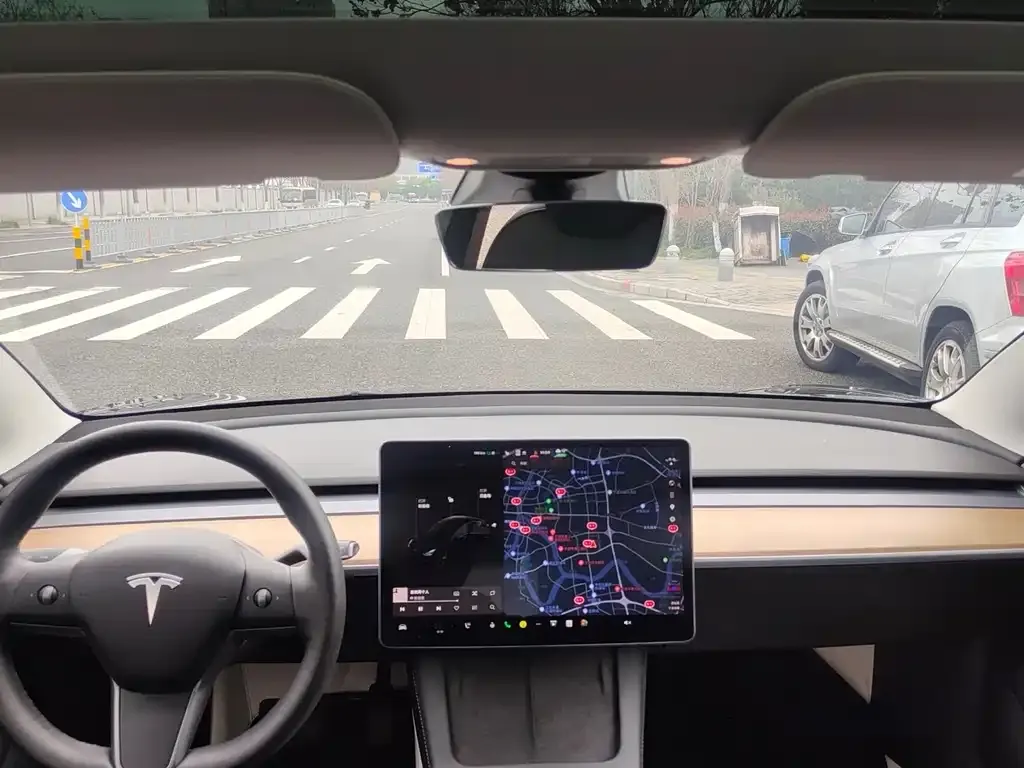 Tesla Model 3 2021 из CN, фото 3