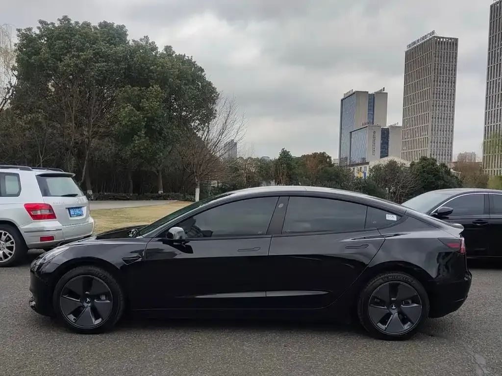 Tesla Model 3 2021 из CN, фото 4