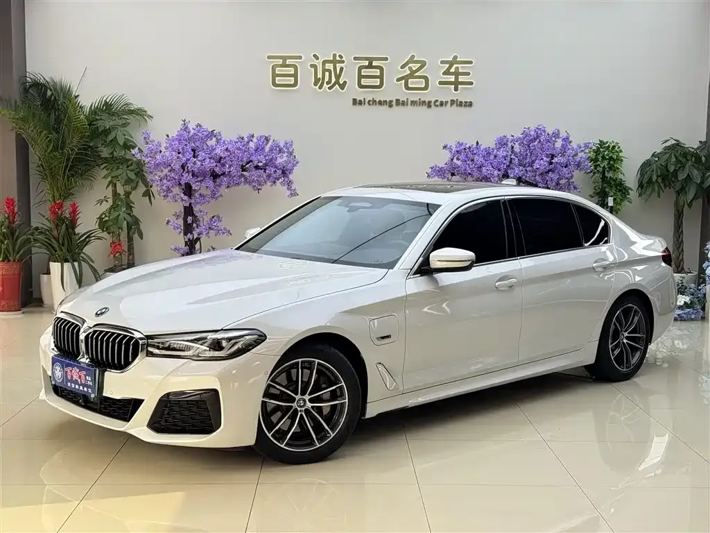 BMW 5 Series New Energy — фото 6