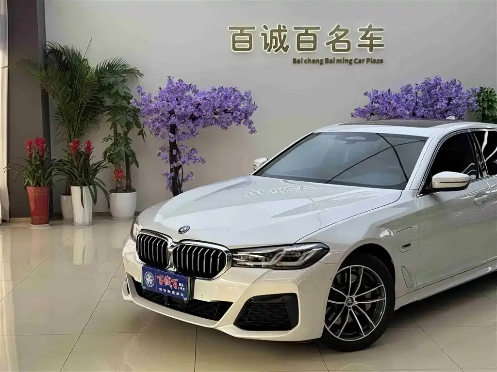 BMW 5 Series New Energy — фото 3