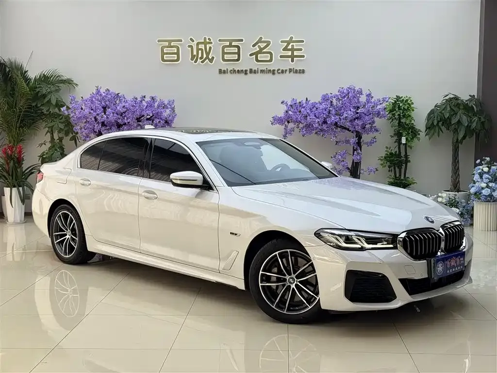 BMW 5 Series New Energy — фото 4