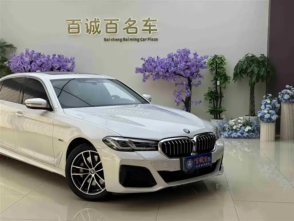 BMW 5 Series New Energy — фото 9
