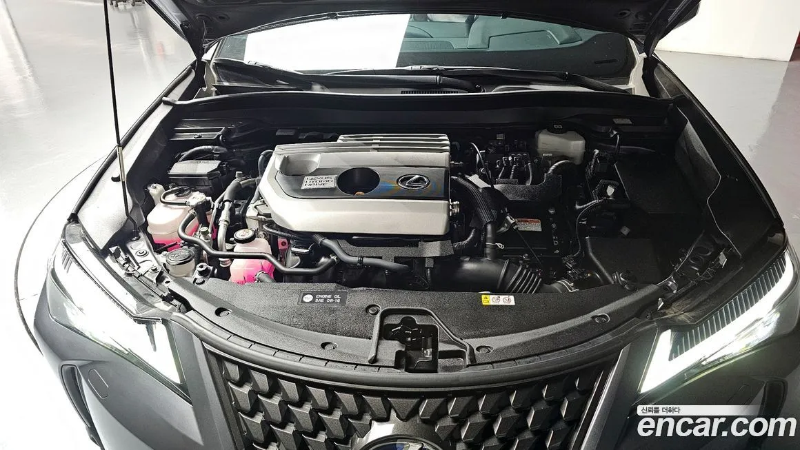 Lexus UX 2022 из KR, фото 4