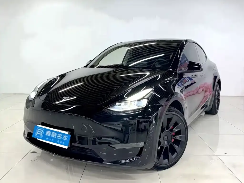 Tesla Model Y — фото 1