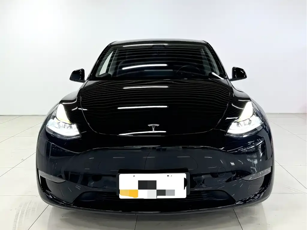Tesla Model Y — фото 2