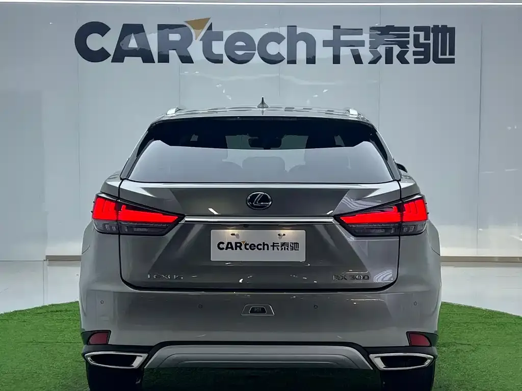 Lexus RX 2022 из CN, фото 10