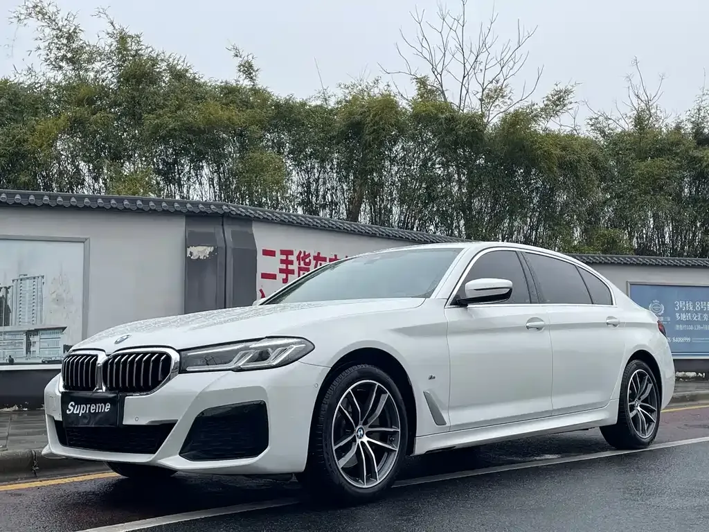 BMW 5 Series 2021 из CN, фото 1