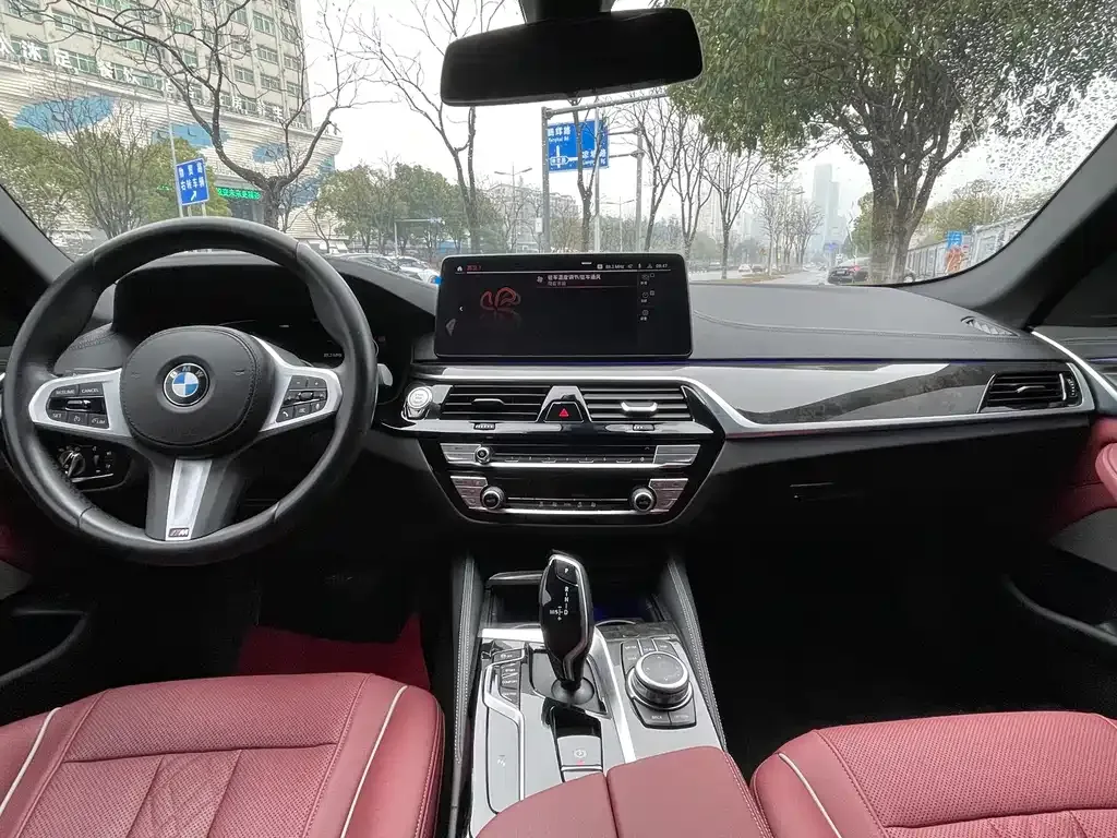 BMW 5 Series 2021 из CN, фото 5