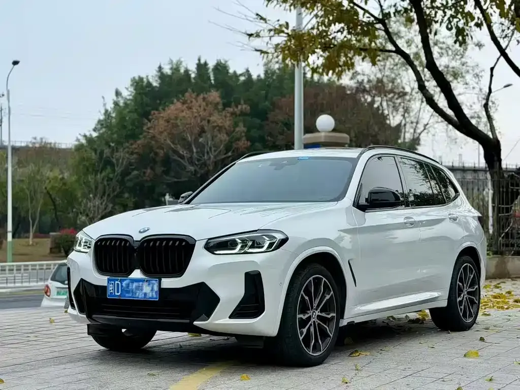 BMW X3 — фото 1