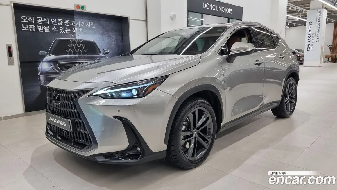 Lexus NX 2025 из KR, фото 1