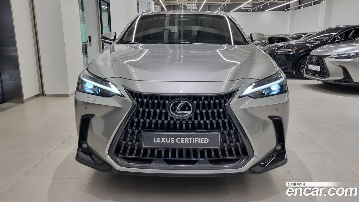 Lexus NX 2025 из KR, фото 4