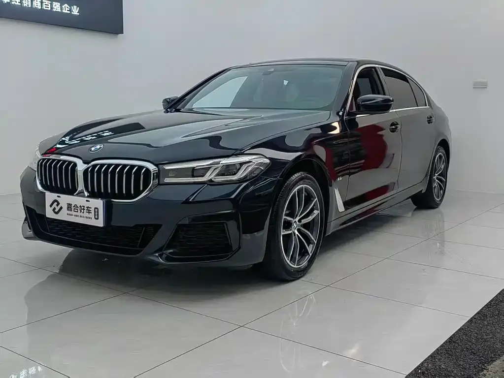 BMW 5 Series 2023 из CN, фото 1