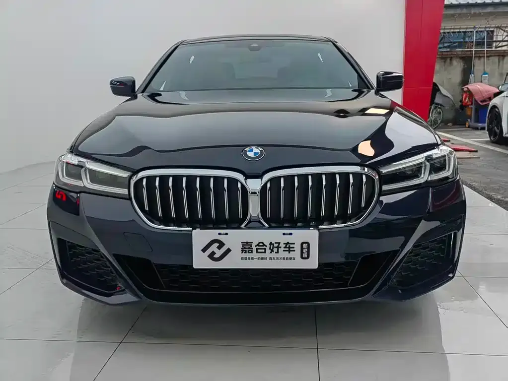BMW 5 Series 2023 из CN, фото 5