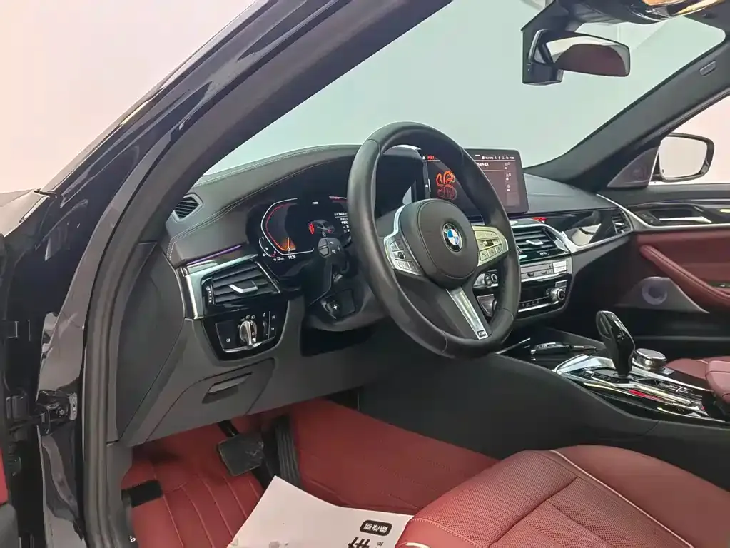 BMW 5 Series 2023 из CN, фото 8