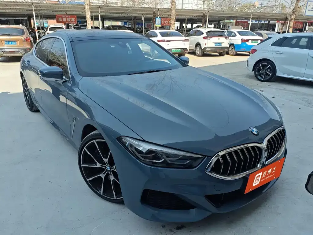 BMW 8 Series 2021 из CN, фото 5