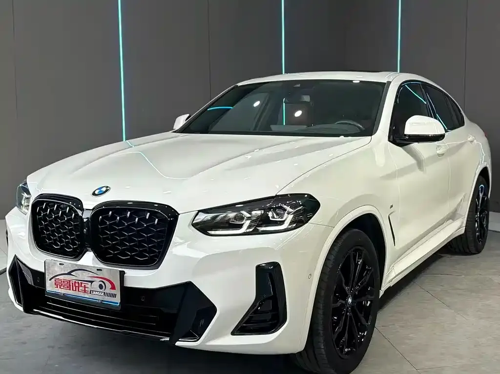 BMW X4 2023 из CN, фото 1