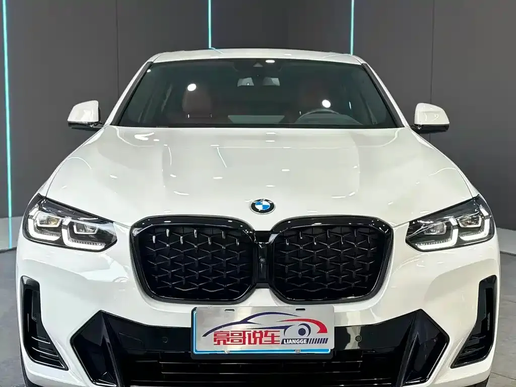 BMW X4 2023 из CN, фото 4