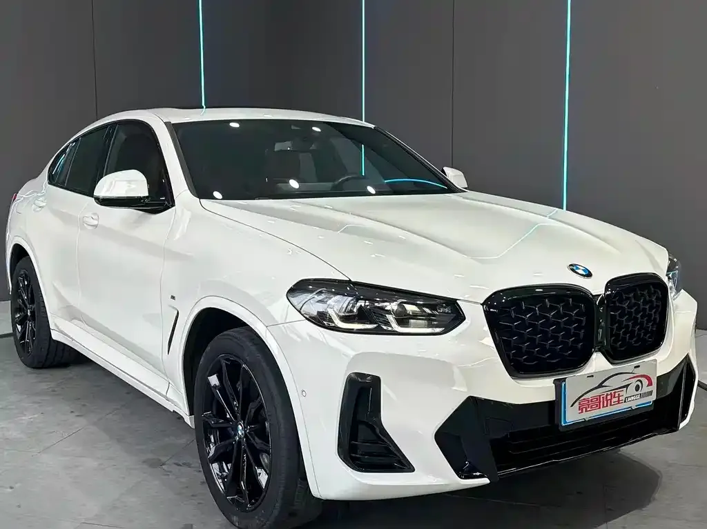 BMW X4 2023 из CN, фото 8