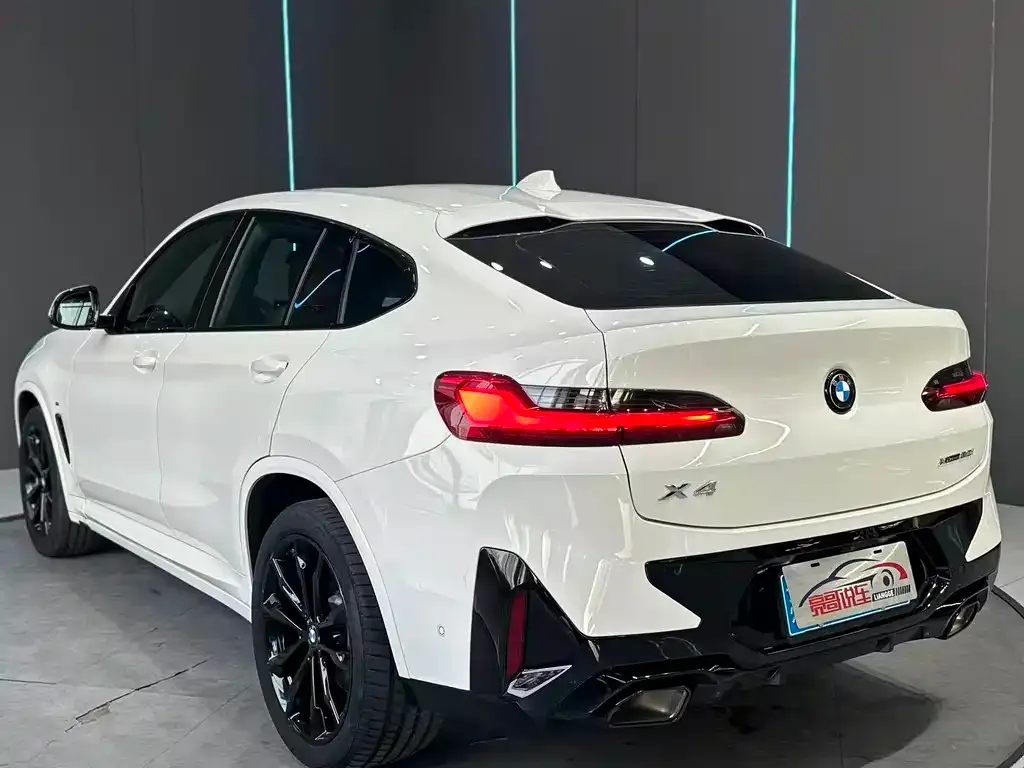 BMW X4 2023 из CN, фото 9