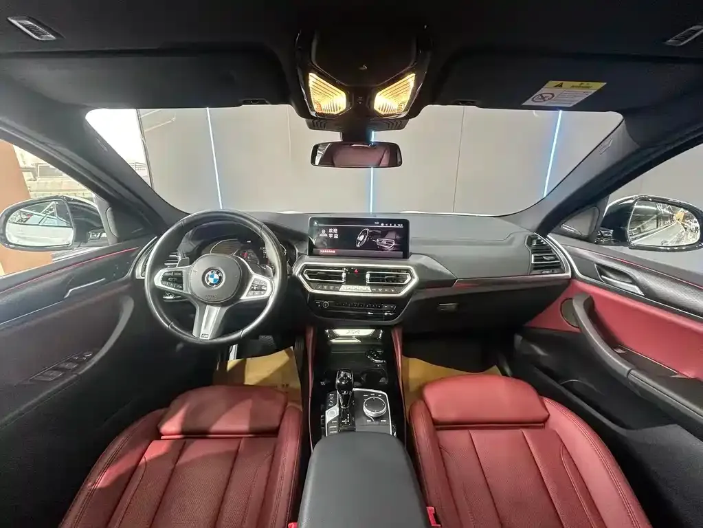 BMW X4 2023 из CN, фото 10