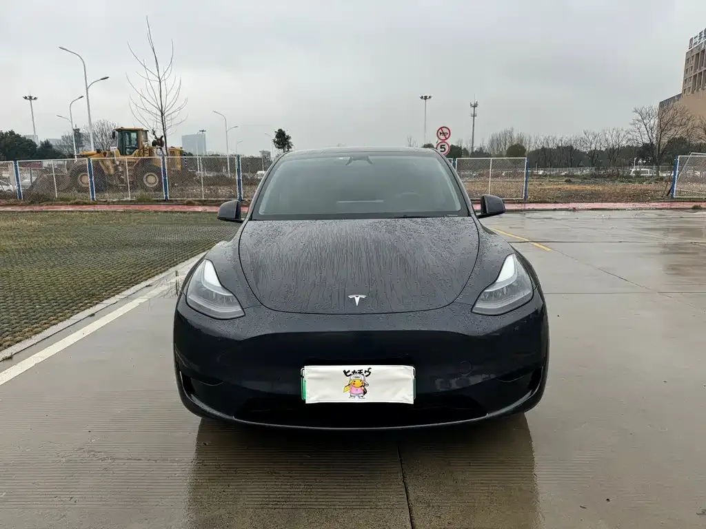 Tesla Model Y — фото 8