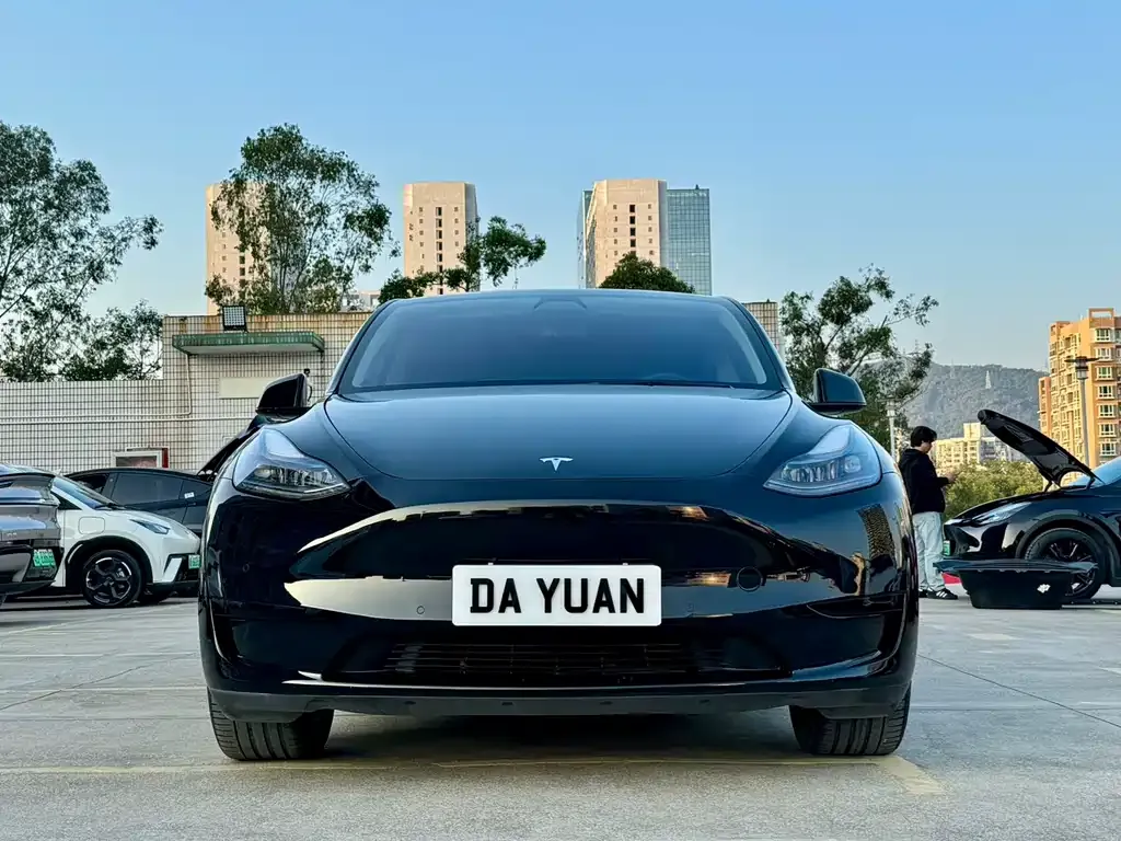 Tesla Model Y 2023 из CN, фото 5