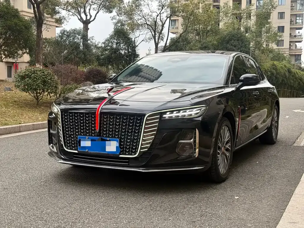 Hongqi H5 2023 из CN, фото 1