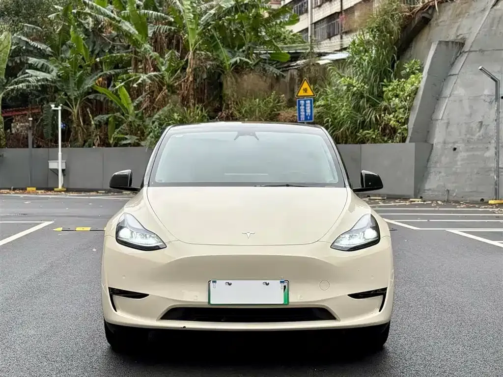 Tesla Model Y — фото 5