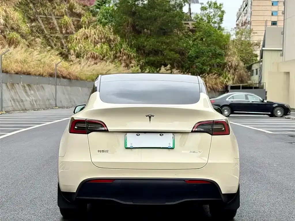 Tesla Model Y — фото 3