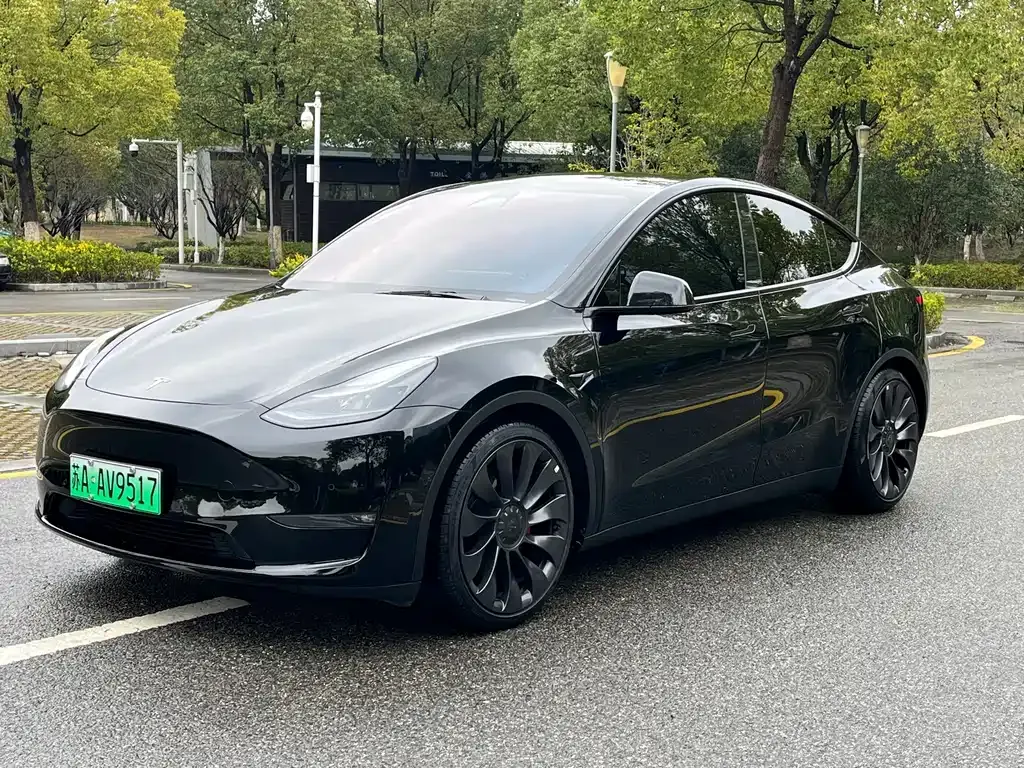 Tesla Model Y — фото 1
