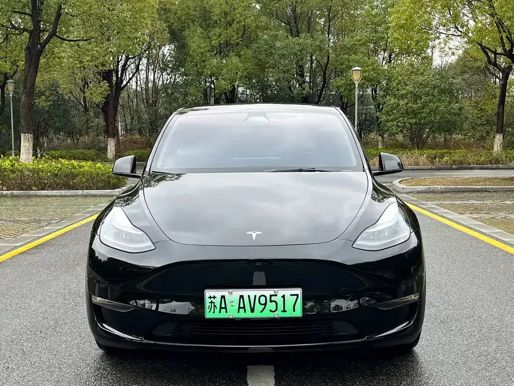 Tesla Model Y — фото 5