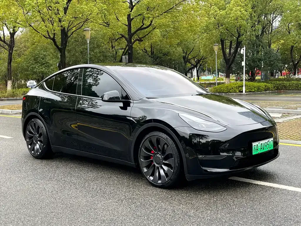 Tesla Model Y — фото 8
