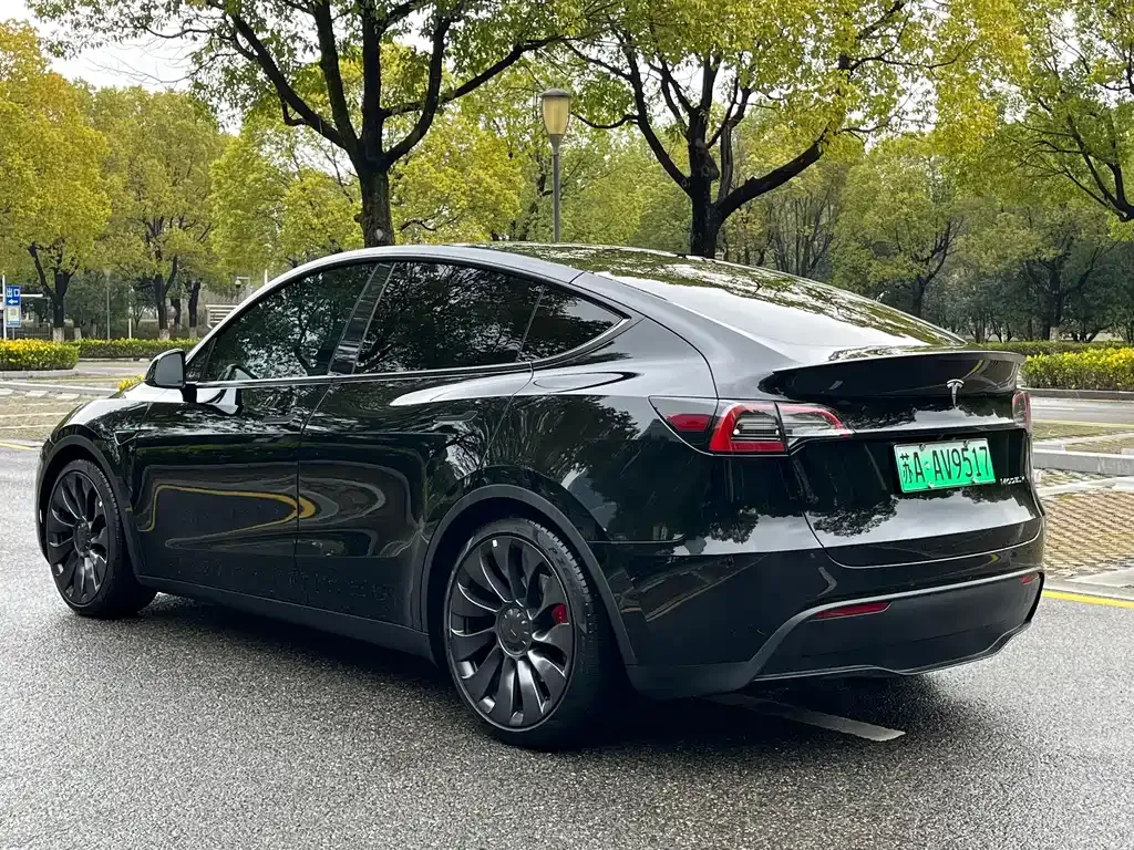 Tesla Model Y — фото 7