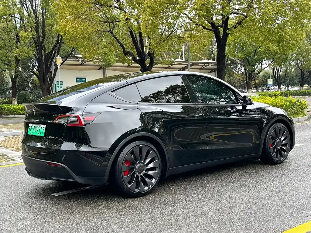 Tesla Model Y — фото 10