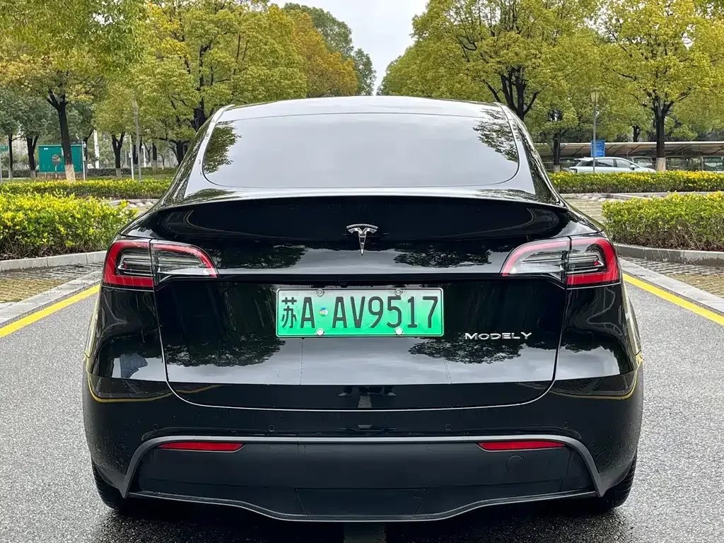 Tesla Model Y — фото 9