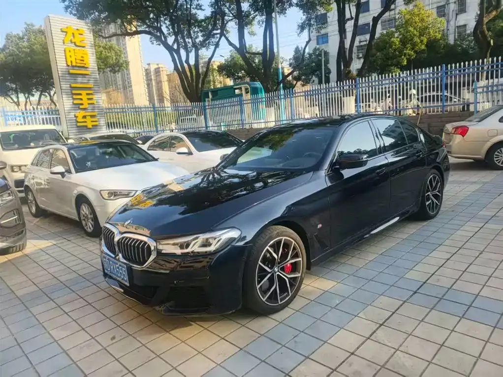 BMW 5 Series (Import) 2022 из CN, фото 1