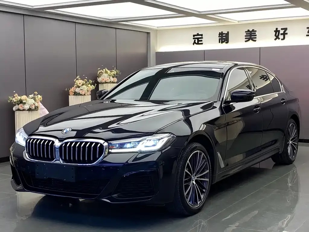 BMW 5 Series 2023 из CN, фото 1