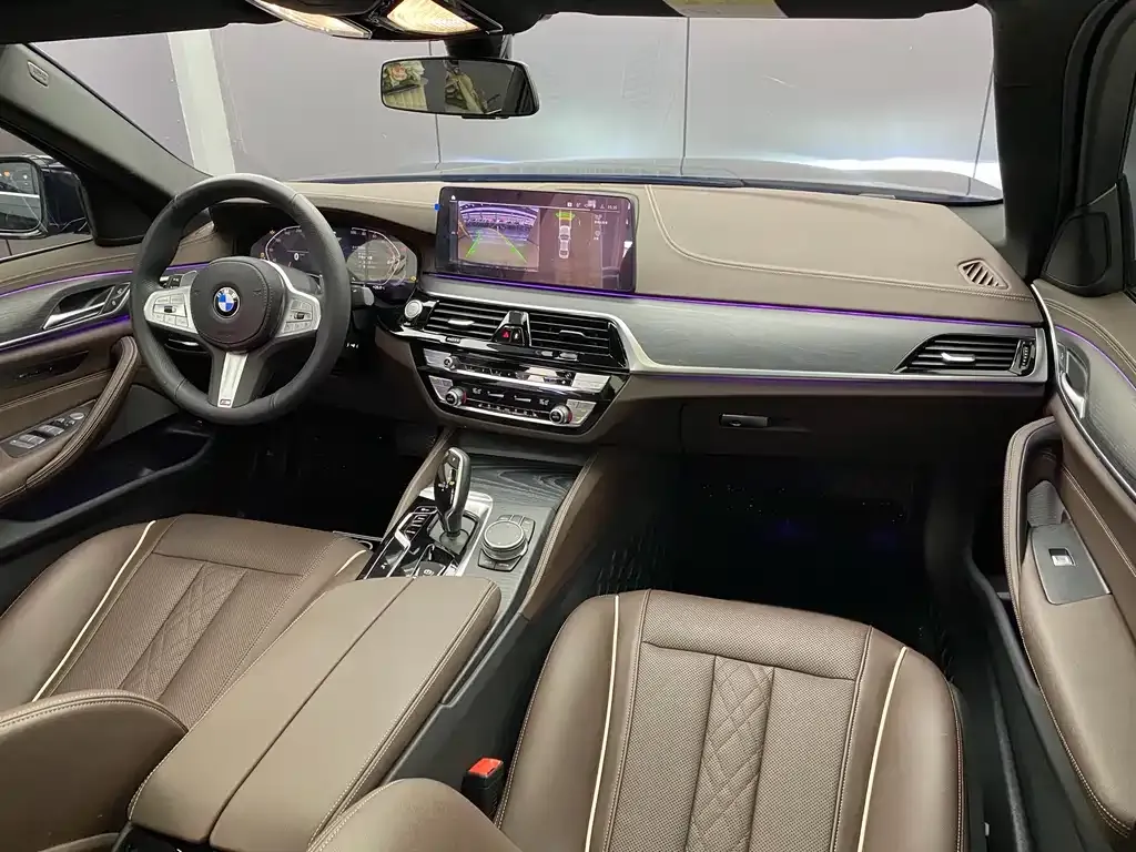 BMW 5 Series 2023 из CN, фото 7