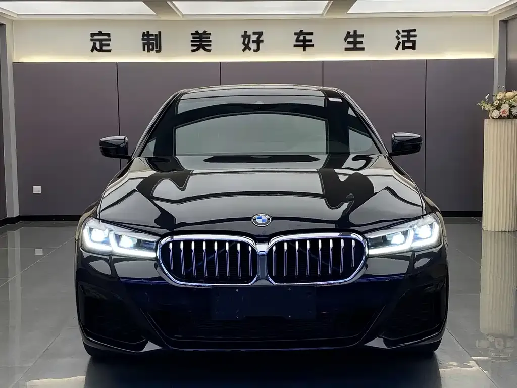 BMW 5 Series 2023 из CN, фото 10