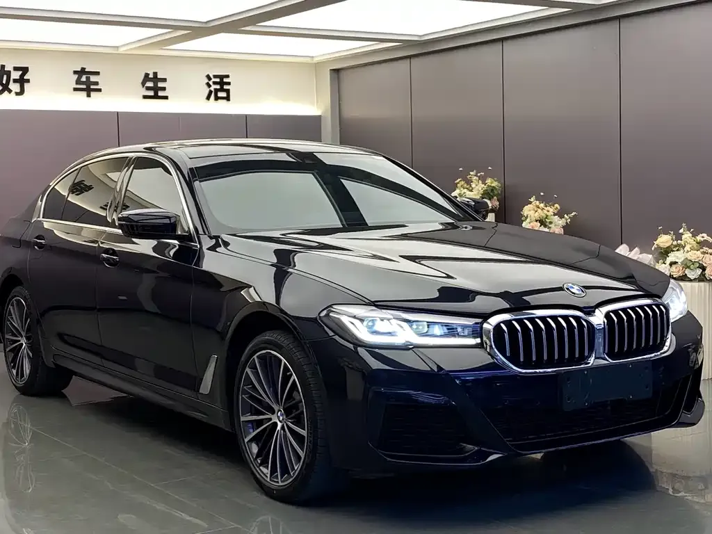 BMW 5 Series 2023 из CN, фото 6