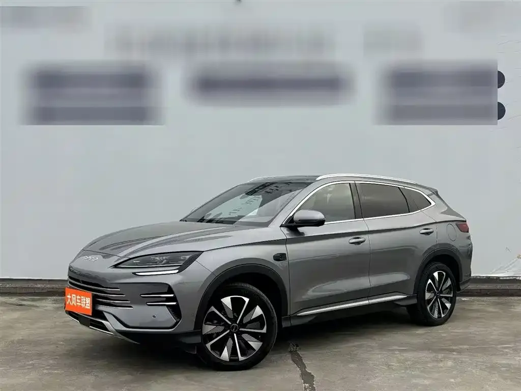BYD PLUS New Energy — фото 1