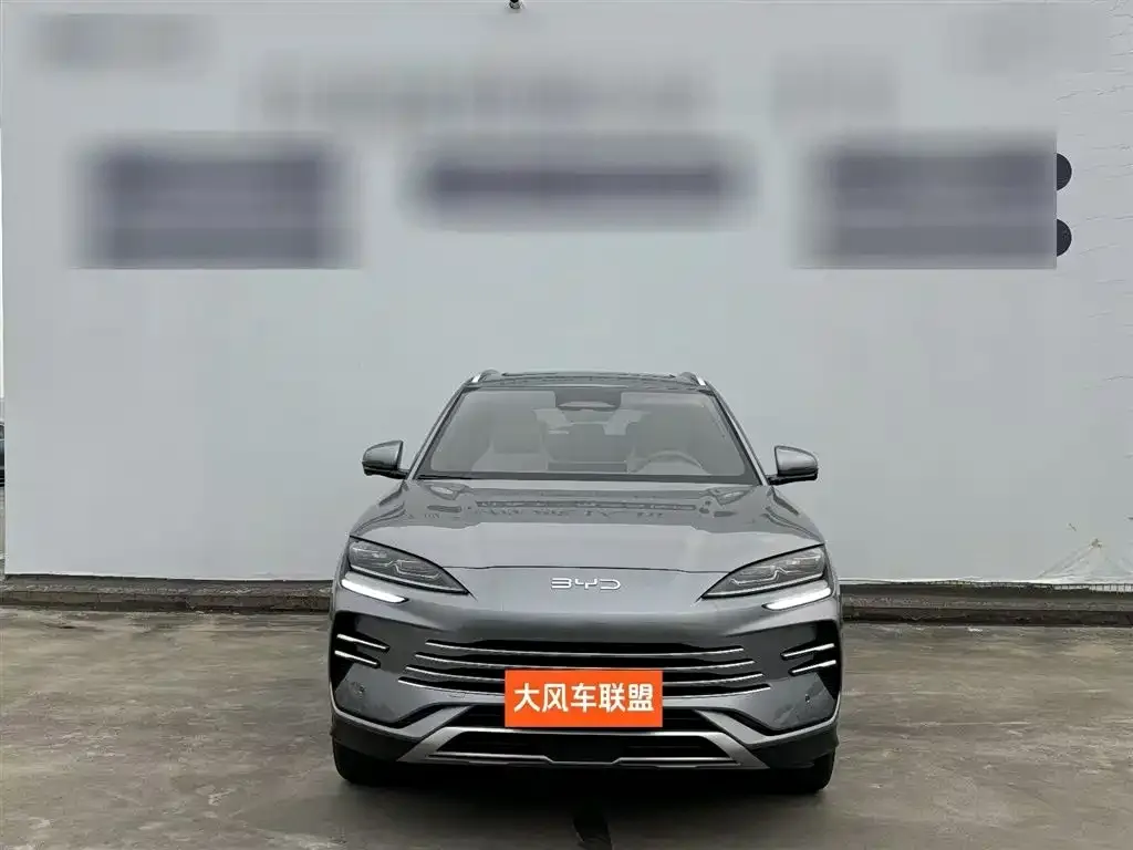 BYD PLUS New Energy — фото 2