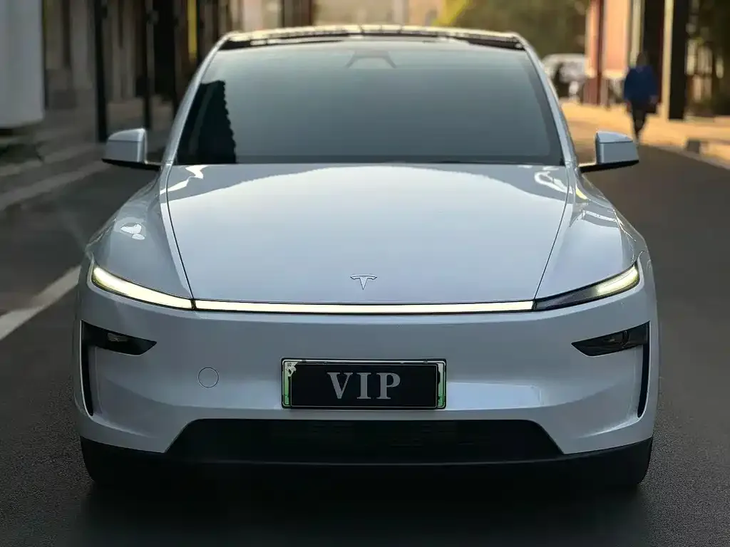 Tesla Model Y — фото 9
