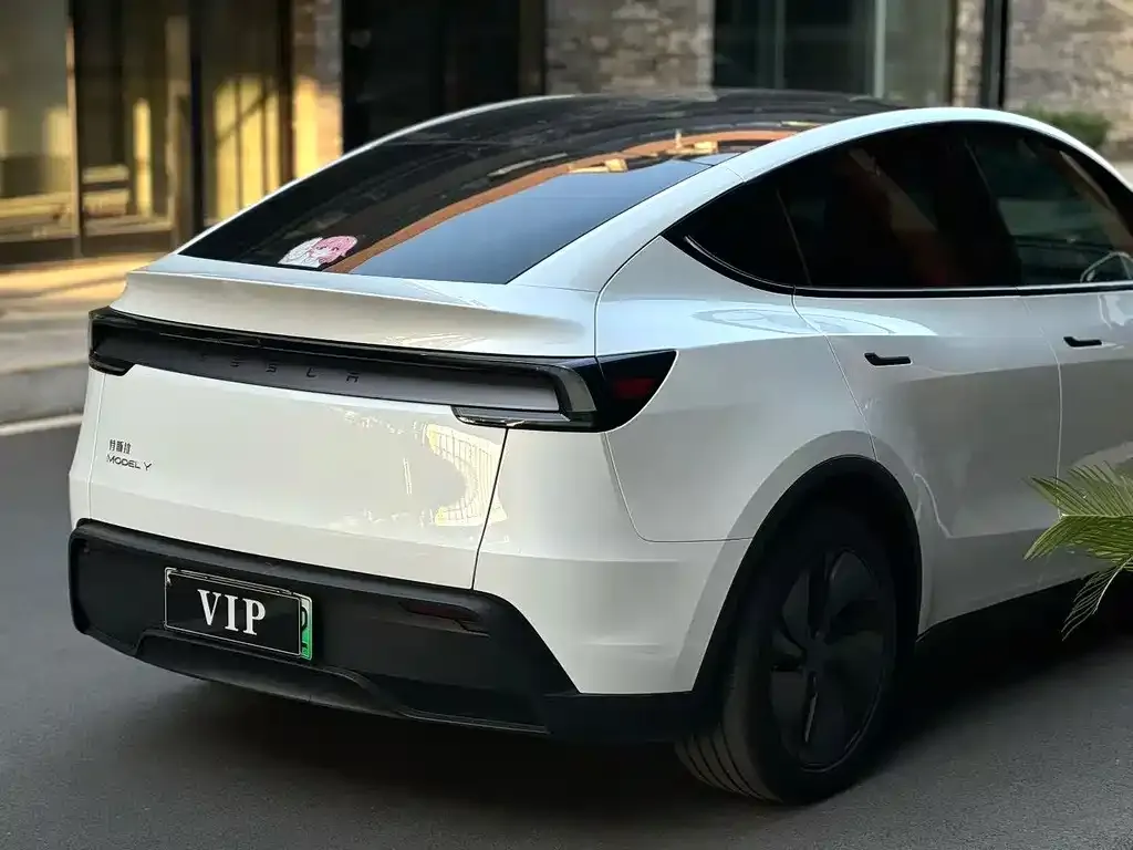 Tesla Model Y — фото 3