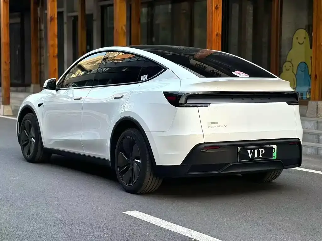 Tesla Model Y — фото 6