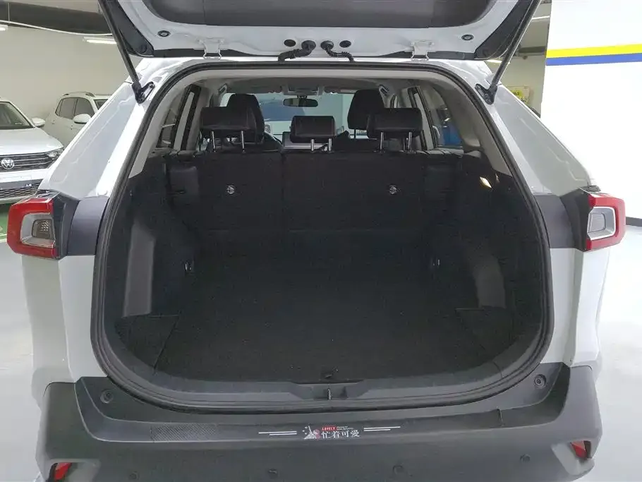 Toyota Wildlander 2023 из CN, фото 5