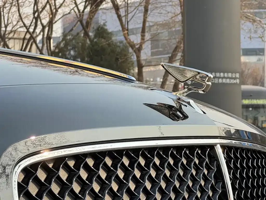 Bentley Flying Spur — фото 7