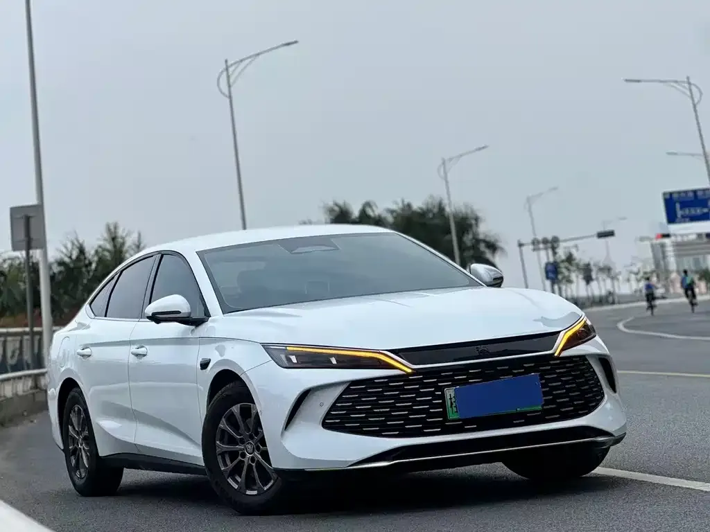 BYD Qin L 2025 из CN, фото 9